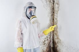  Central Heights Midland City, AZ Mold Removal & Remediation Pros